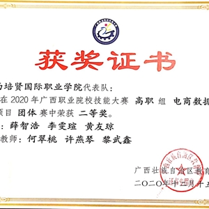 我院電子商務專業代表隊獲2020年廣西職業院校技能大賽高職組電商數據運營二等獎